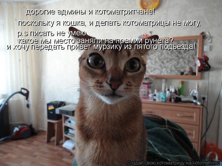 Котоматрица: дорогие админы и котоматритчане! поскольку я кошка, и делать котоматрицы не могу, р.s писать не умею какое мы место заняли на премии рунета? и