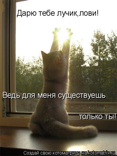 Котоматрица: Дарю тебе лучик,лови! Ведь для меня существуешь только ты!