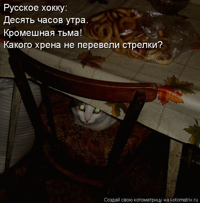 Котоматрица: Русское хокку: Десять часов утра. Кромешная тьма! Какого хрена не перевели стрелки?