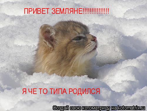 Котоматрица: ПРИВЕТ ЗЕМЛЯНЕ!!!!!!!!!!!!!!! Я ЧЕ ТО ТИПА РОДИЛСЯ