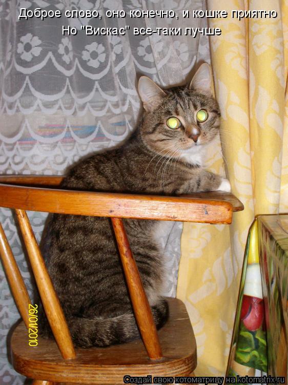 Котоматрица: Доброе слово, оно конечно, и кошке приятно Но "Вискас" все-таки лучше