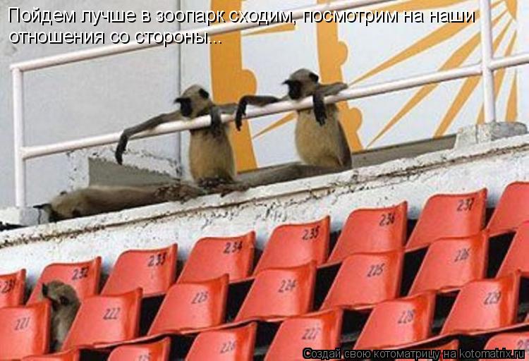Пойдем лучше в зоопарк сходим, посмотрим на наши отношения со стороны...... Котоматрица: Пойдем лучше в зоопарк сходим, посмотрим на наши отношения со стороны...