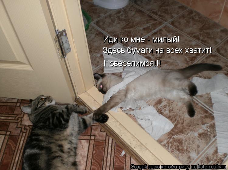Иди ко мне - милый! Здесь бумаги на всех хватит! Повеселимся!!!... Котоматрица: Иди ко мне - милый! Здесь бумаги на всех хватит! Повеселимся!!!