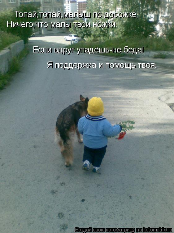 Топай,топай,малыш по дорожке, Ничего,что малы твои ножки. Если вдруг упадёшь-не беда! Я поддержка и п... Котоматрица: Топай,топай,малыш по дорожке, Ничего,что малы твои ножки. Если вдруг упадёшь-не беда! Я поддержка и помощь твоя.