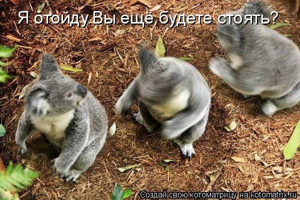 Я отойду.Вы ещё будете стоять?... Котоматрица: Я отойду.Вы ещё будете стоять?