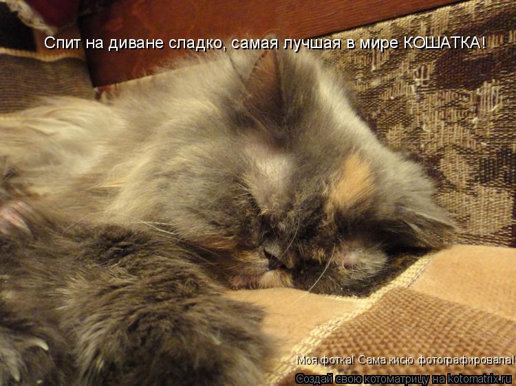 Спит на диване сладко, самая лучшая в мире КОШАТКА! Спит на диване сладко, самая лучшая в мире КОШАТК... Котоматрица: Спит на диване сладко, самая лучшая в мире КОШАТКА! Спит на диване сладко, самая лучшая в мире КОШАТКА! Моя фотка! Сама кисю фотографировала!