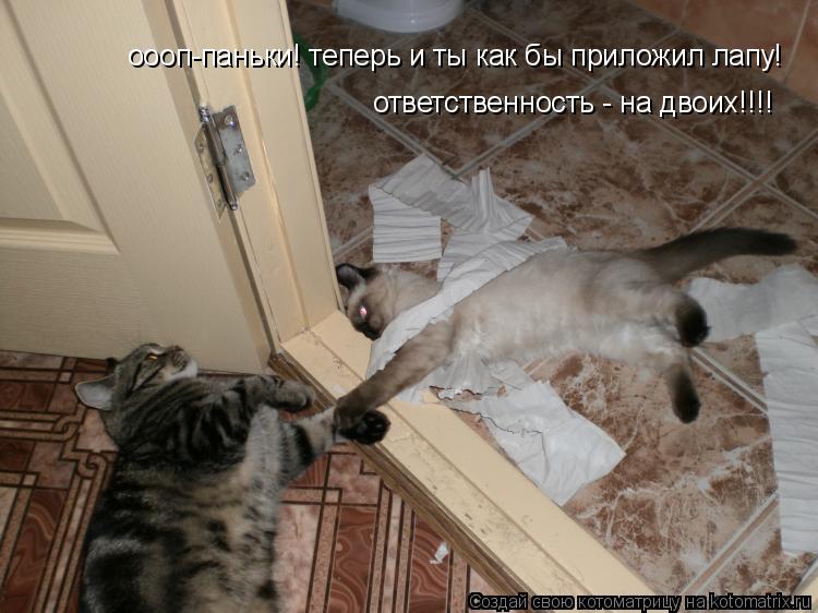 оооп-паньки! теперь и ты как бы приложил лапу! ответственность - на двоих!!!!... Котоматрица: оооп-паньки! теперь и ты как бы приложил лапу! ответственность - на двоих!!!!