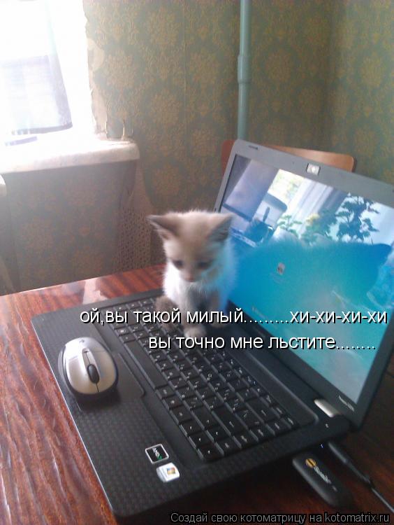 ой,вы такой милый.........хи-хи-хи-хи вы точно мне льстите........... Котоматрица: ой,вы такой милый.........хи-хи-хи-хи вы точно мне льстите........