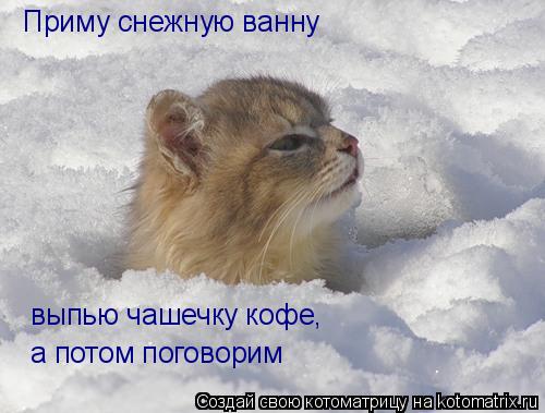 Приму снежную ванну выпью чашечку кофе, а потом поговорим... Котоматрица: Приму снежную ванну выпью чашечку кофе, а потом поговорим