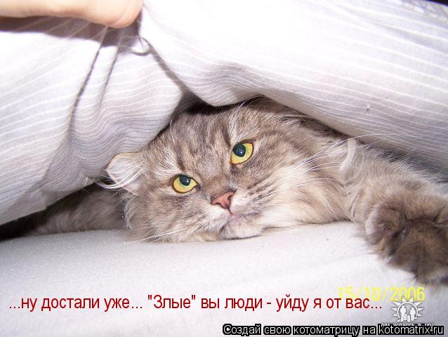 ...ну достали уже... "Злые" вы люди - уйду я от вас...... Котоматрица: ...ну достали уже... "Злые" вы люди - уйду я от вас...