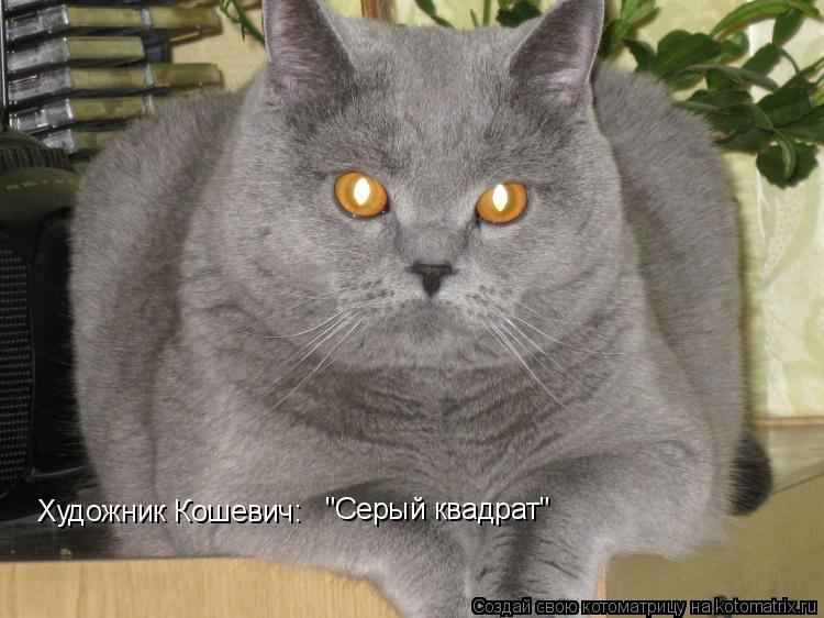 Художник Кошевич: "Серый квадрат"... Котоматрица: Художник Кошевич: "Серый квадрат"