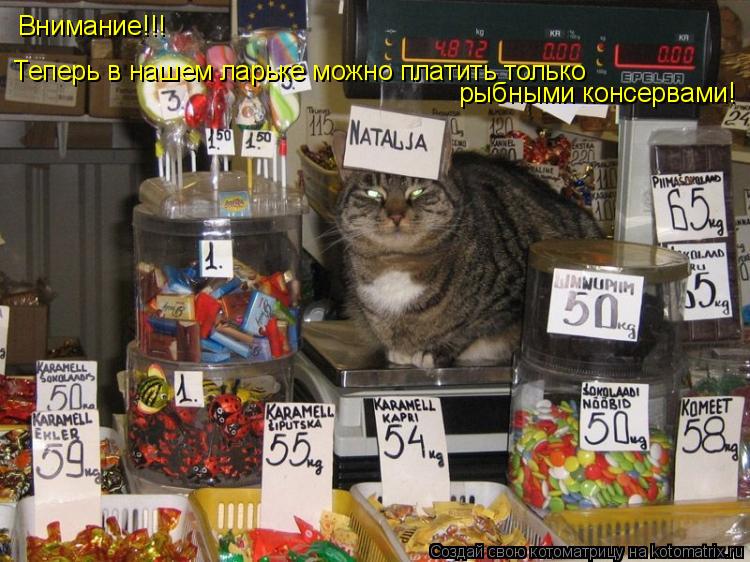 Внимание!!! Теперь в нашем ларьке можно платить только рыбными консервами!... Котоматрица: Внимание!!! Теперь в нашем ларьке можно платить только рыбными консервами!