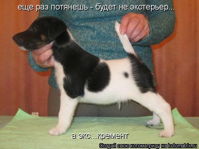 еще раз потянешь - будет не экстерьер... а экс...кремент... Котоматрица: еще раз потянешь - будет не экстерьер... а экс...кремент