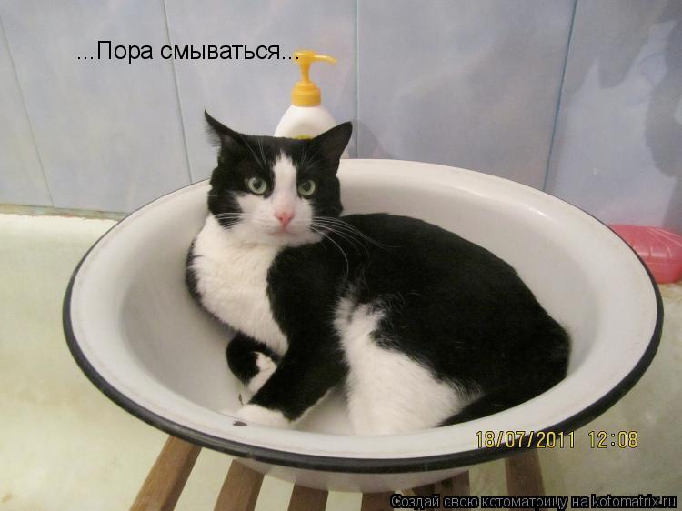 ...Пора смываться...... Котоматрица: ...Пора смываться...