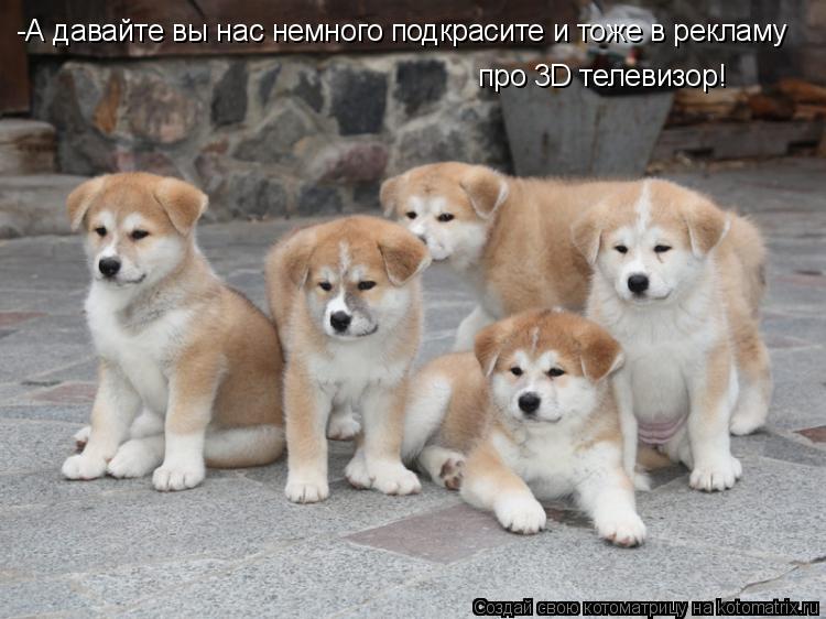 -А давайте вы нас немного подкрасите и тоже в рекламу про 3D телевизор!... Котоматрица: -А давайте вы нас немного подкрасите и тоже в рекламу про 3D телевизор!