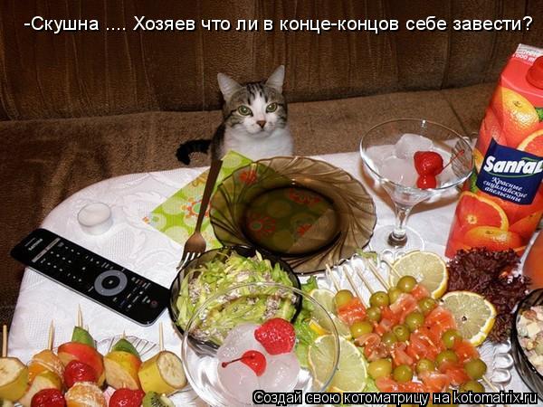 -Скушна .... Хозяев что ли в конце-концов себе завести?... Котоматрица: -Скушна .... Хозяев что ли в конце-концов себе завести?