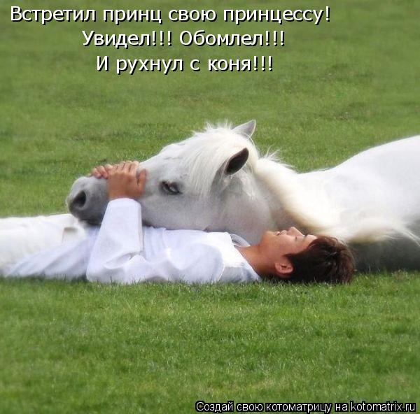 Встретил принц свою принцессу! Увидел!!! Обомлел!!! И рухнул с коня!!!... Котоматрица: Встретил принц свою принцессу! Увидел!!! Обомлел!!! И рухнул с коня!!!