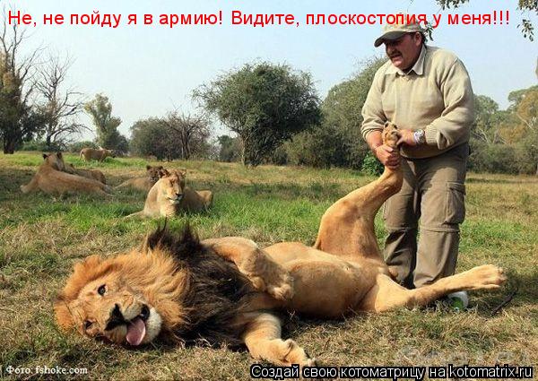 Не, не пойду я в армию! Видите, плоскостопия у меня!!!... Котоматрица: Не, не пойду я в армию! Видите, плоскостопия у меня!!!