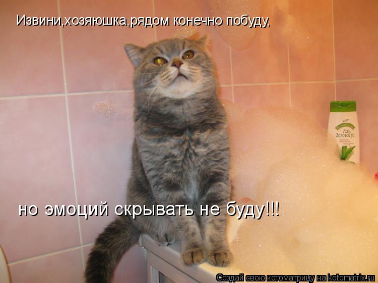 Извини,хозяюшка,рядом конечно побуду, но эмоций скрывать не буду!!!... Котоматрица: Извини,хозяюшка,рядом конечно побуду, но эмоций скрывать не буду!!!