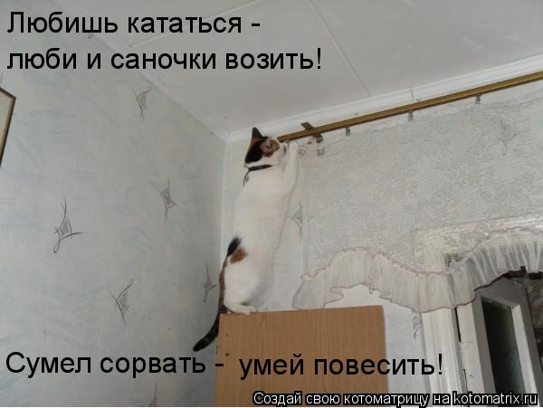 Любишь кататься - люби и саночки возить! Сумел сорвать - умей повесить!... Котоматрица: Любишь кататься - люби и саночки возить! Сумел сорвать - умей повесить!
