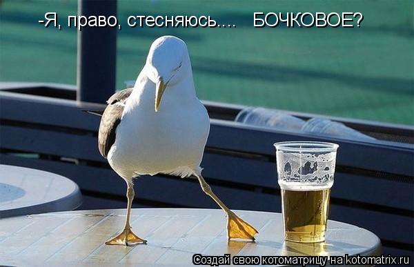 -Я, право, стесняюсь.... БОЧКОВОЕ?... Котоматрица: -Я, право, стесняюсь.... БОЧКОВОЕ?