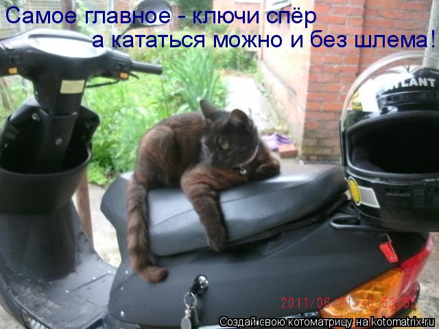 Котоматрица: Самое главное - ключи спёр а кататься можно и без шлема!