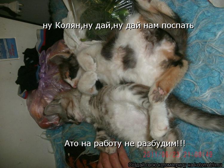 Котоматрица: ну Колян,ну дай,ну дай нам поспать Ато на работу не разбудим!!!