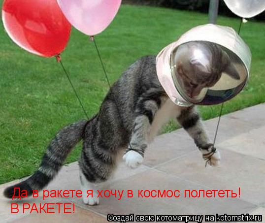 Котоматрица: Да в ракете я хочу в космос полететь! В РАКЕТЕ!