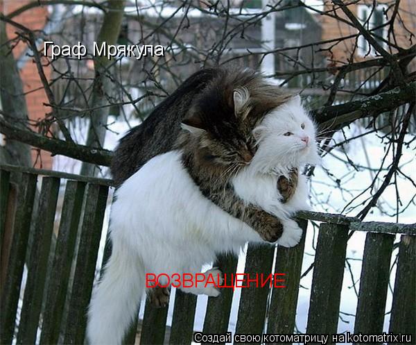 Котоматрица: Граф Мрякула ВОЗВРАЩЕНИЕ