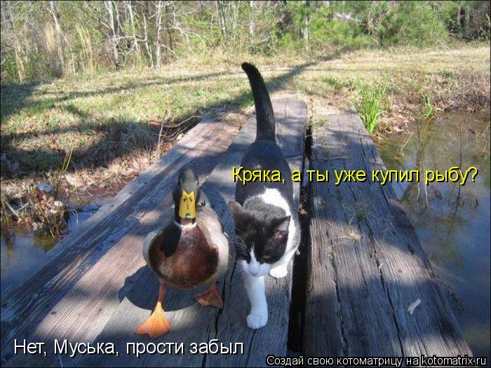 Котоматрица: Кряка, а ты уже купил рыбу? Нет, Муська, прости забыл
