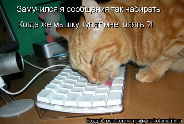 Котоматрица: Замучился я сообщения так набирать Когда же мышку купят мне  опять ?!