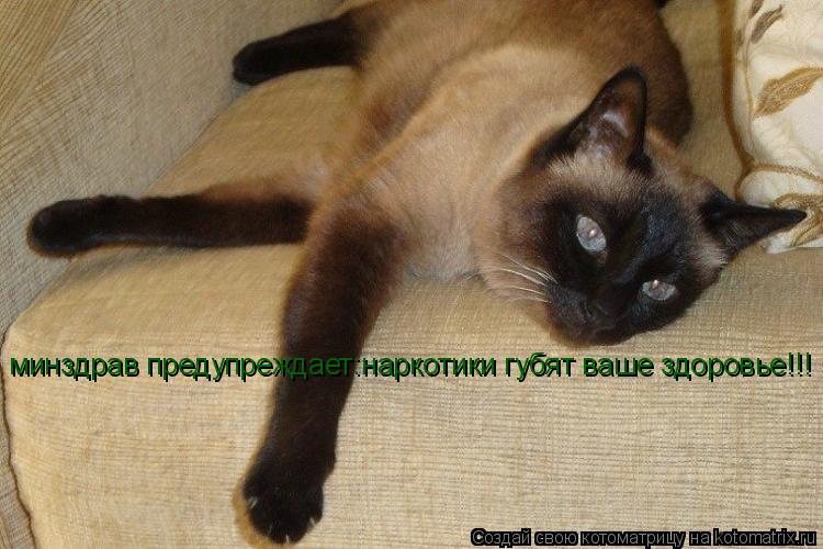 Котоматрица: минздрав предупреждает:наркотики губят ваше здоровье!!!