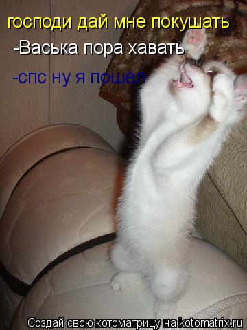 Котоматрица: господи дай мне покушать -Васька пора хавать  -спс ну я пошёл