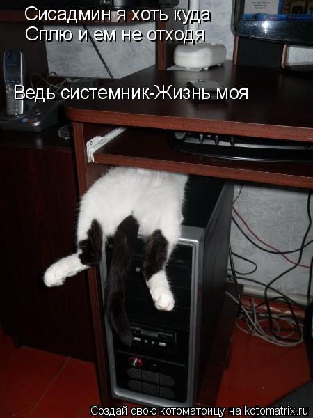 Котоматрица: Сисадмин я хоть куда Сплю и ем не отходя Ведь системник-Жизнь моя