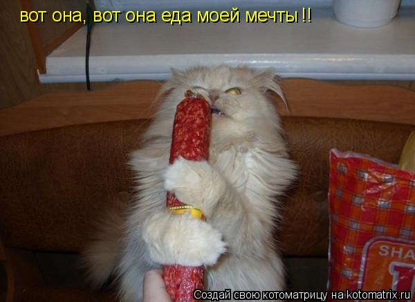 Котоматрица: вот она, вот она еда моей мечты  !!