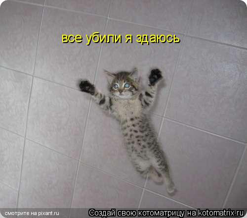 Котоматрица: все убили я здаюсь
