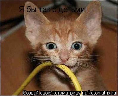 Котоматрица: Я бы так с детьми!