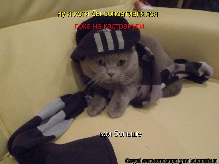 Котоматрица: ну я хотя бы сопративлялся  пока не кастранули  ври больше