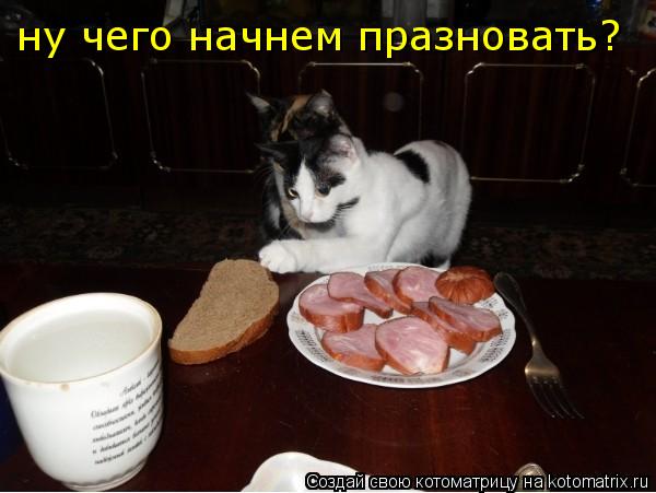 ну чего начнем празновать?... Котоматрица: ну чего начнем празновать?