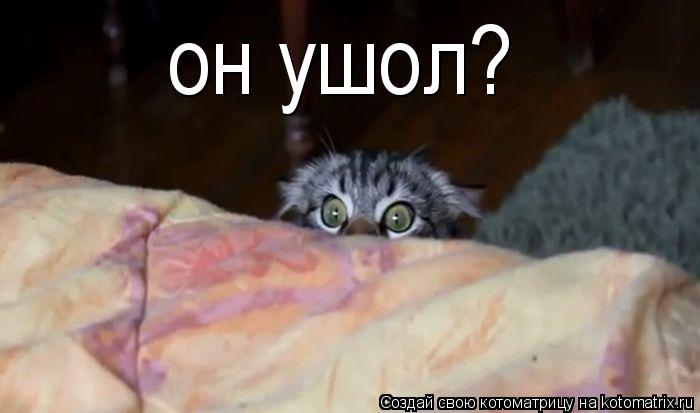 он ушол?... Котоматрица: он ушол?