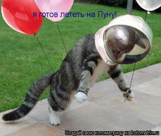 я готов лететь на Луну!... Котоматрица: я готов лететь на Луну!