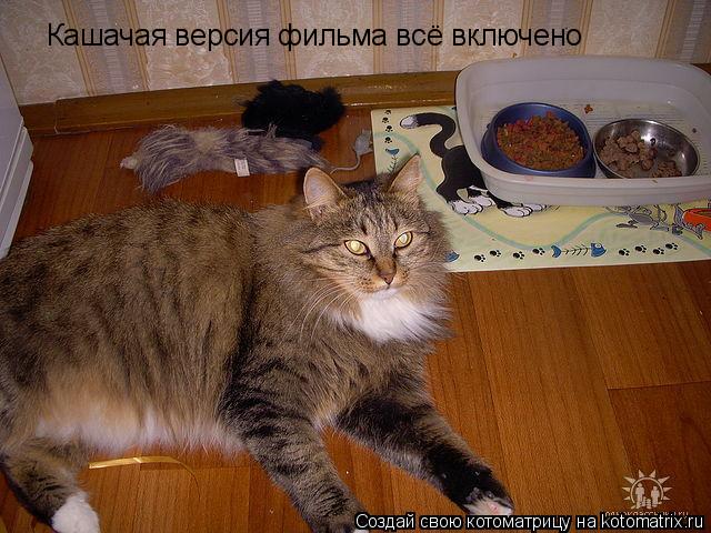 Кашачая версия фильма всё включено... Котоматрица: Кашачая версия фильма всё включено