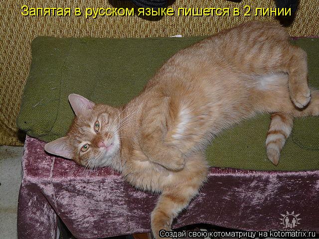 Запятая в русском языке пишется в 2 линии... Котоматрица: Запятая в русском языке пишется в 2 линии