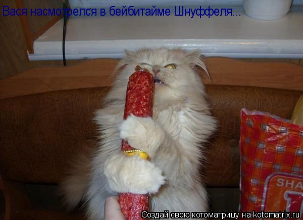 Вася насмотрелся в бейбитайме Шнуффеля...... Котоматрица: Вася насмотрелся в бейбитайме Шнуффеля...