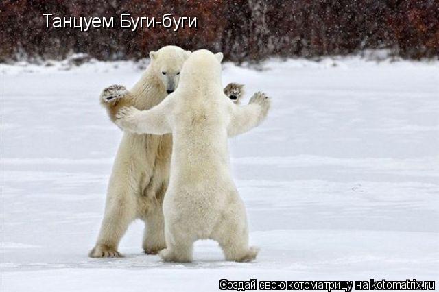 Танцуем Буги-буги... Котоматрица: Танцуем Буги-буги