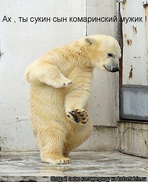 Ах , ты сукин сын комаринский мужик !... Котоматрица: Ах , ты сукин сын комаринский мужик !