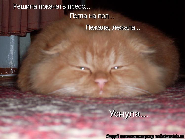 Решила покачать пресс... Легла на пол... Лежала, лежала... Уснула...... Котоматрица: Решила покачать пресс... Легла на пол... Лежала, лежала... Уснула...