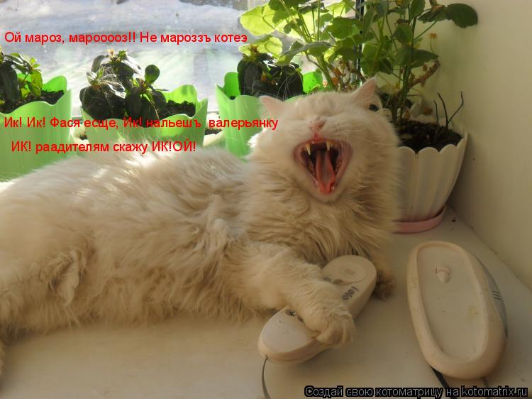 Ой мароз, марооооз!! Не мароззъ котеэ Ик! Ик! Фася есще, Ик! нальешъ валерьянку ИК! раадителям скаж... Котоматрица: Ой мароз, марооооз!! Не мароззъ котеэ Ик! Ик! Фася есще, Ик! нальешъ валерьянку ИК! раадителям скажу ИК!ОЙ!