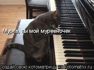 Мурка, ты мой мурееночек... Котоматрица: Мурка, ты мой мурееночек