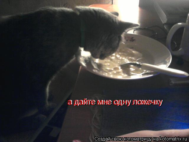 а дайте мне одну ложечку а дайте мне одну ложечку... Котоматрица: а дайте мне одну ложечку а дайте мне одну ложечку